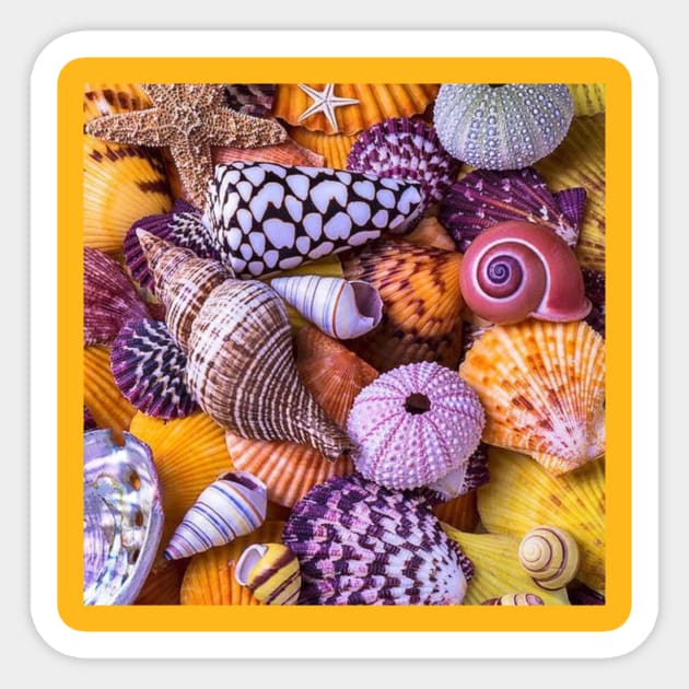 seashell Sticker by PREMIUMSHOP